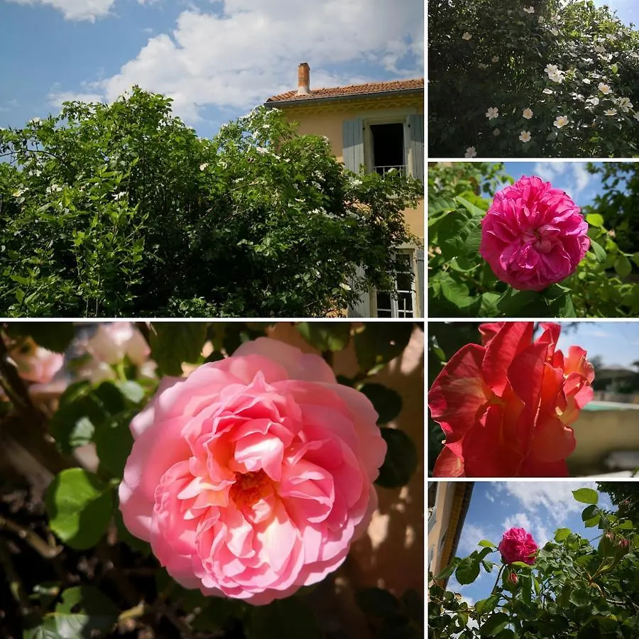 Maison D'Anvers Valreas Bed & Breakfast