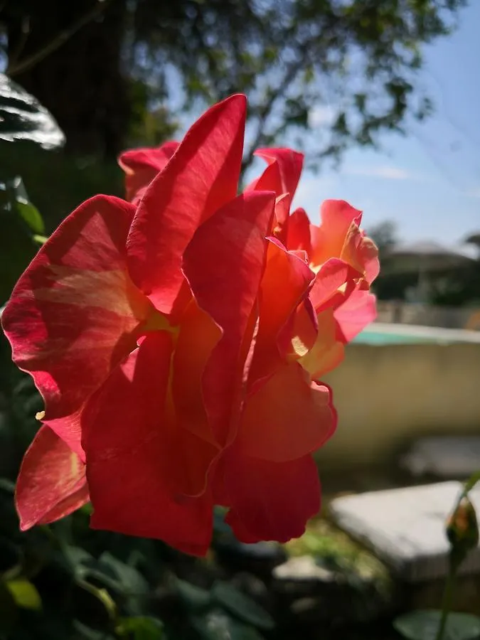 Maison D'Anvers Valreas Bed & Breakfast